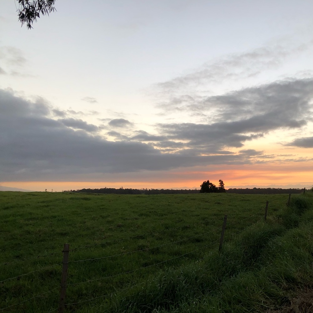 Meet your Posher, Heiley